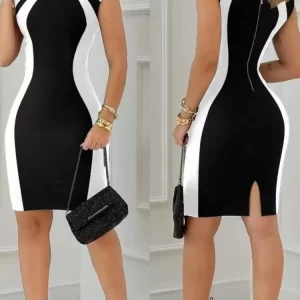Women Fashion Round Neck Sleeveless Bodycon Zipper Mini Dress New Summer Colorblock Back Split Party Lady Slim Pencil Dresses - Playerfashions 200000345