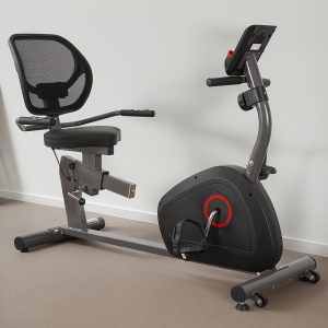 Sturdy & Quiet Magnetic Resistance Recumbent Exercise Bike for Adults - 8-Level Indoor Cycling Bike with Adjustable Seat, Ergonomic Handles, iPad Holder, Belt Drive & 250 lbs Capacity - Easy Assembly Home Gym Equipment, Comfortable Fitness Option | Sleek Design | Robust Materials - playerfashions